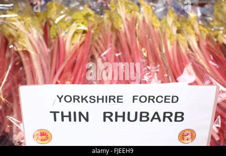 forced rhubarb for sale.